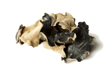 Dry Chinese black muer mushroom isolated on white background