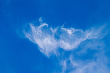 Fototapeta na wymiar A white cloud in a bright blue sky