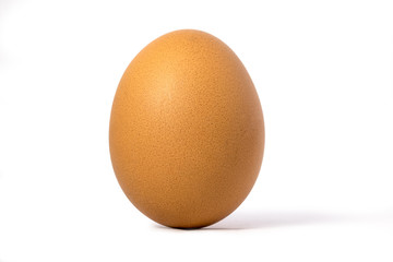 Picture of an egg laying vertically with a white background
