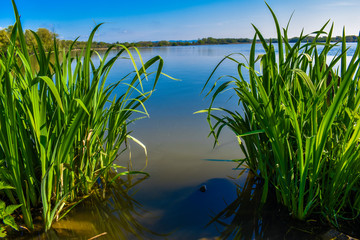 The view of the lake is always beautiful.
