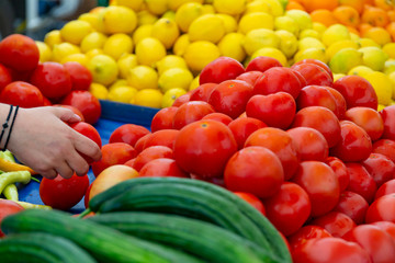 A woman chooses tomatoes in a street market using a plastic bag. Buying fresh organic fruits and vegetables