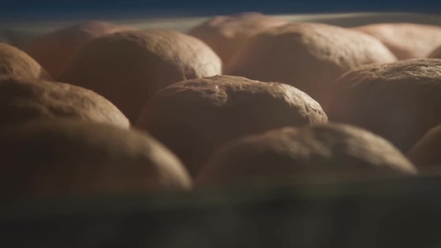 Baking bread in bakery oven with high temperature at kitchen. time lapse shot