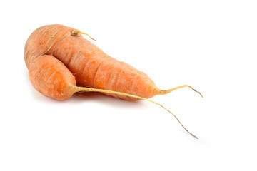 Ugly carrot