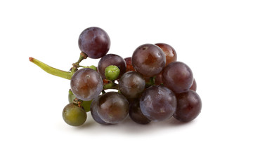 Black wine grape