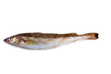 Safron cod fish
