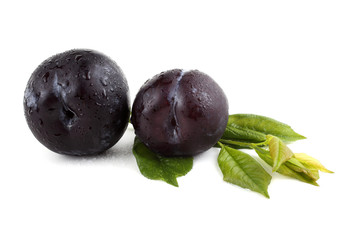 Plums and leaves
