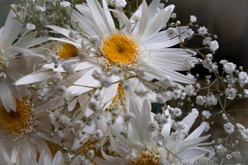 beautiful flower closeup tender bouquet yellow wedding