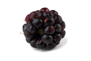 Blackberry