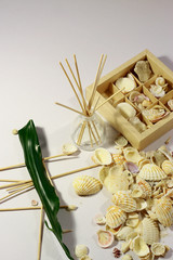 Still Life Photo.Relax.Sea shells.Natural tones.