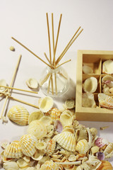Still Life Photo.Relax.Sea shells.Natural tones.