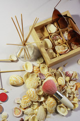 Still Life Photo.Relax.Sea shells.Natural tones.