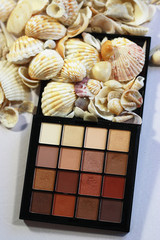Still Life Photo.Relax.Sea shells.Natural tones.