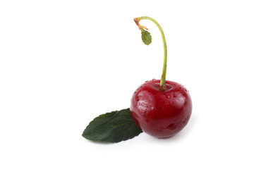 Cherry