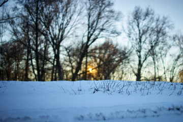Warm winter landscape of sunset blue sky