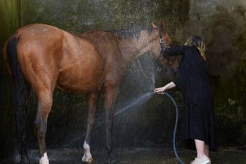 Pregnant Woman with horses