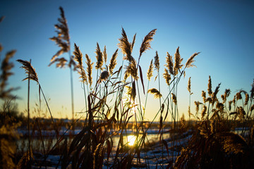 Warm winter landscape of sunset blue sky