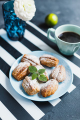 Madeleine cookies with nuts and icing sugar - 344558994