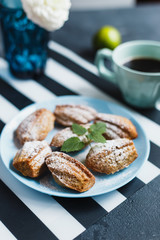 Madeleine cookies with nuts and icing sugar - 344559123