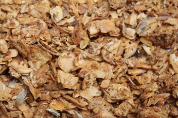 dry garlic 