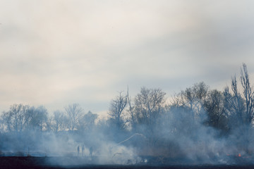 Fire department in action, fighting the fire. The high summer temperatures produce fire