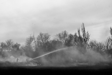 Raging forest spring fires. Burning dry grass, reed along lake. Grass is burning in meadow. Ecological catastrophy. Fire and smoke destroy all life. Firefighters extinguish Big fire. Lot of smoke