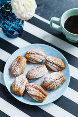 Madeleine cookies with nuts and icing sugar - 344559542