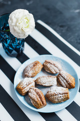 Madeleine cookies with nuts and icing sugar - 344559560