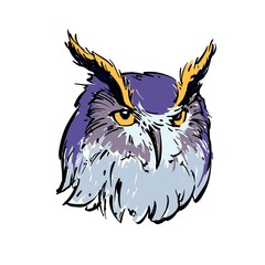 Realistic color drawing of an owl's head. For coloring.