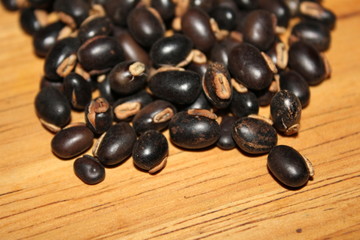 The seeds of Mucuna pruriens(believed to help maintain male sexual performance.)