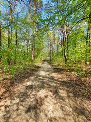 SŁONECZNY DZIEŃ W PARKU. 
PARK IM. JÓZEFA PIŁSUDSKIEGO 
(NA ZDROWIU). ŁÓDŹ, POLSKA  