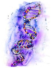 DNA spiral, watercolor drawing, illustration - 344561567