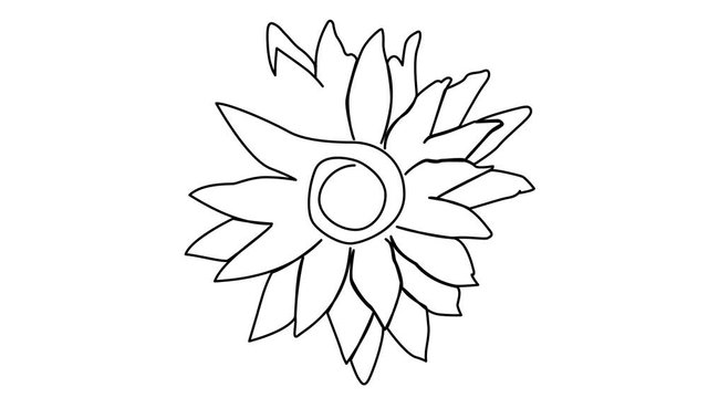 one line continuous drawing water lily flower