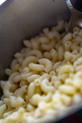 pasta cooked meal plain white