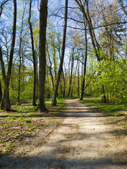 SŁONECZNY DZIEŃ W PARKU. 
PARK IM. JÓZEFA PIŁSUDSKIEGO 
(NA ZDROWIU). ŁÓDŹ, POLSKA  