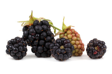 Blackberries