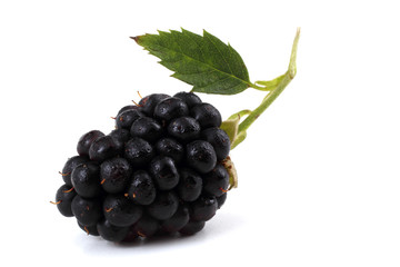 Blackberry