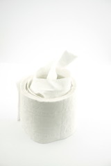 toilet paper roll on white background