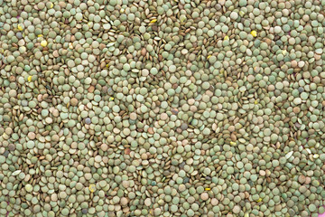 Lentils bean culture as a background