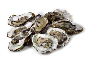 Opened oysters