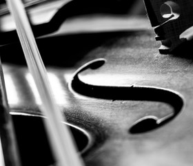 Artful black and white photo of a violin body and bow © Alan