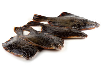 Starry flounder (emery wheel, long-nosed flounder,  grindstone)
