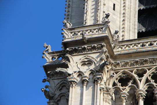 Gargolas de Notre Dame