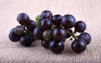 Black wine grape on bagging