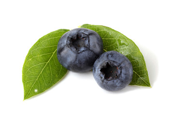 Blueberries and leaf