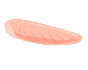 ささみ　鶏肉　チキン