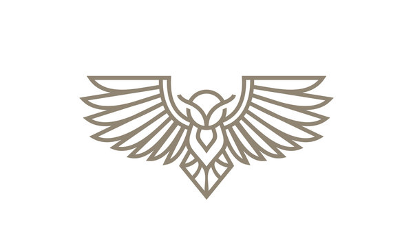 owl line art logo icon
