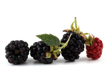 Blackberries