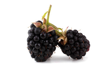 Blackberries