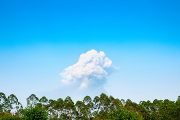 Obraz premium clouds over the forest