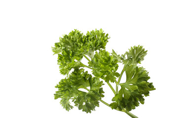 Parsley